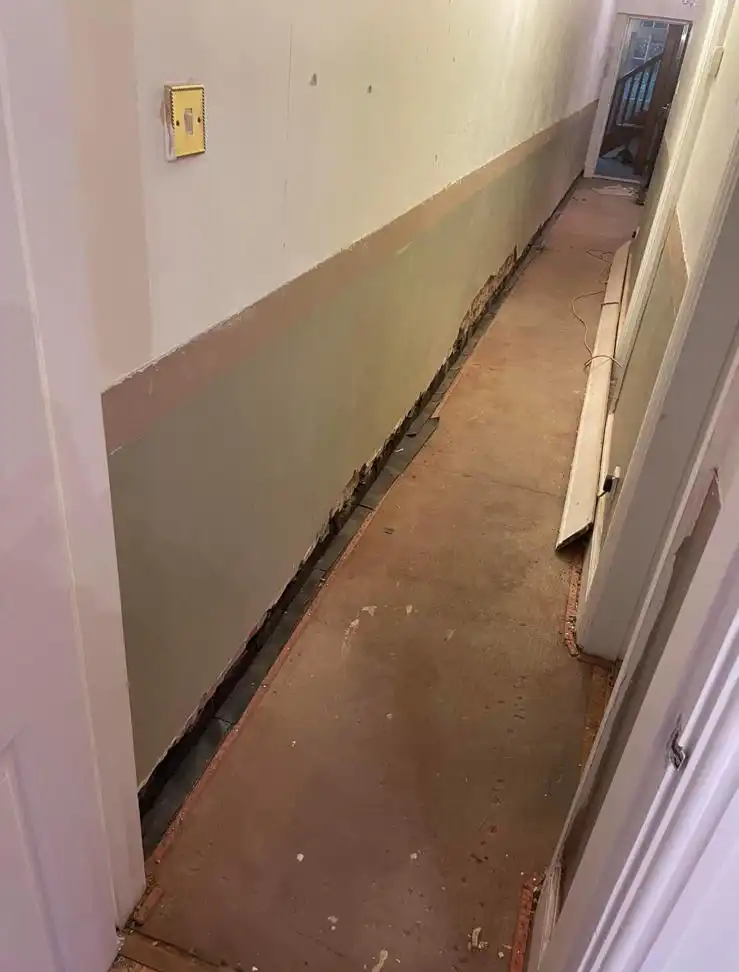 Damp Proofing