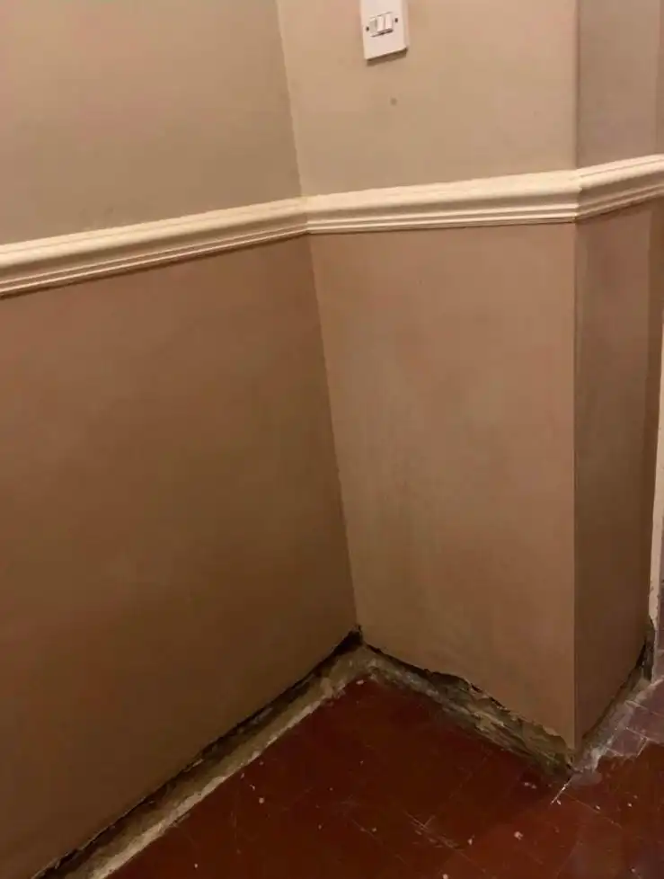 Damp Proofing