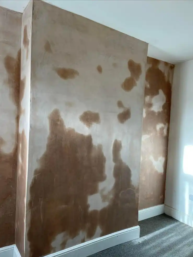 Damp Proofing
