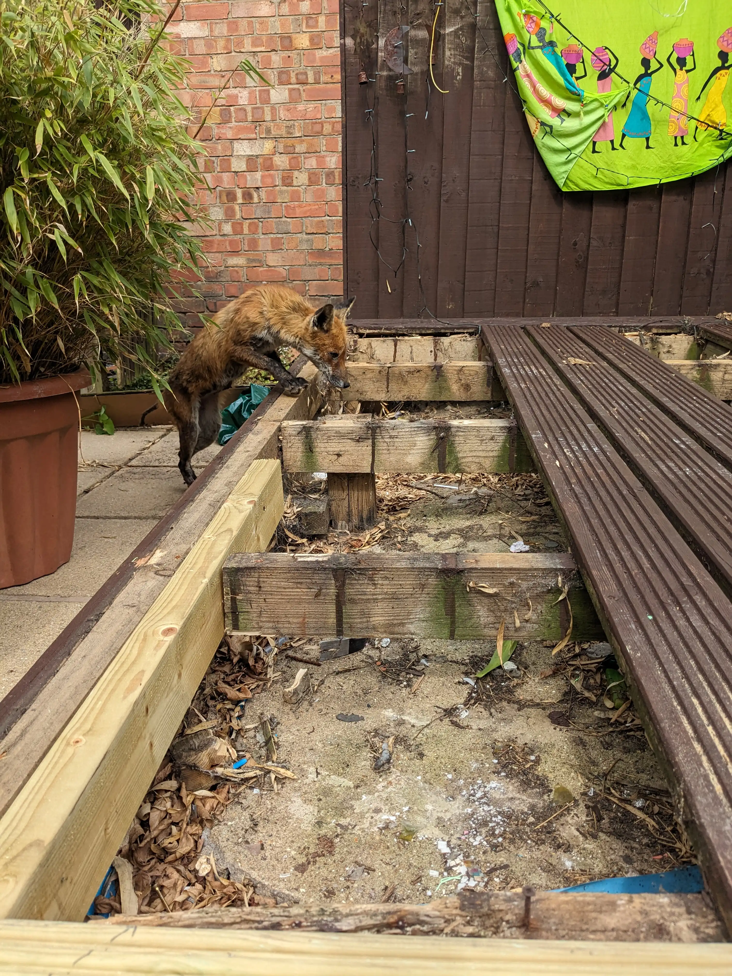 Examples of our company using joinery techniques to construct house extensions, bespoke furniture, wardrobes and media walls.